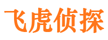 平顶山侦探公司